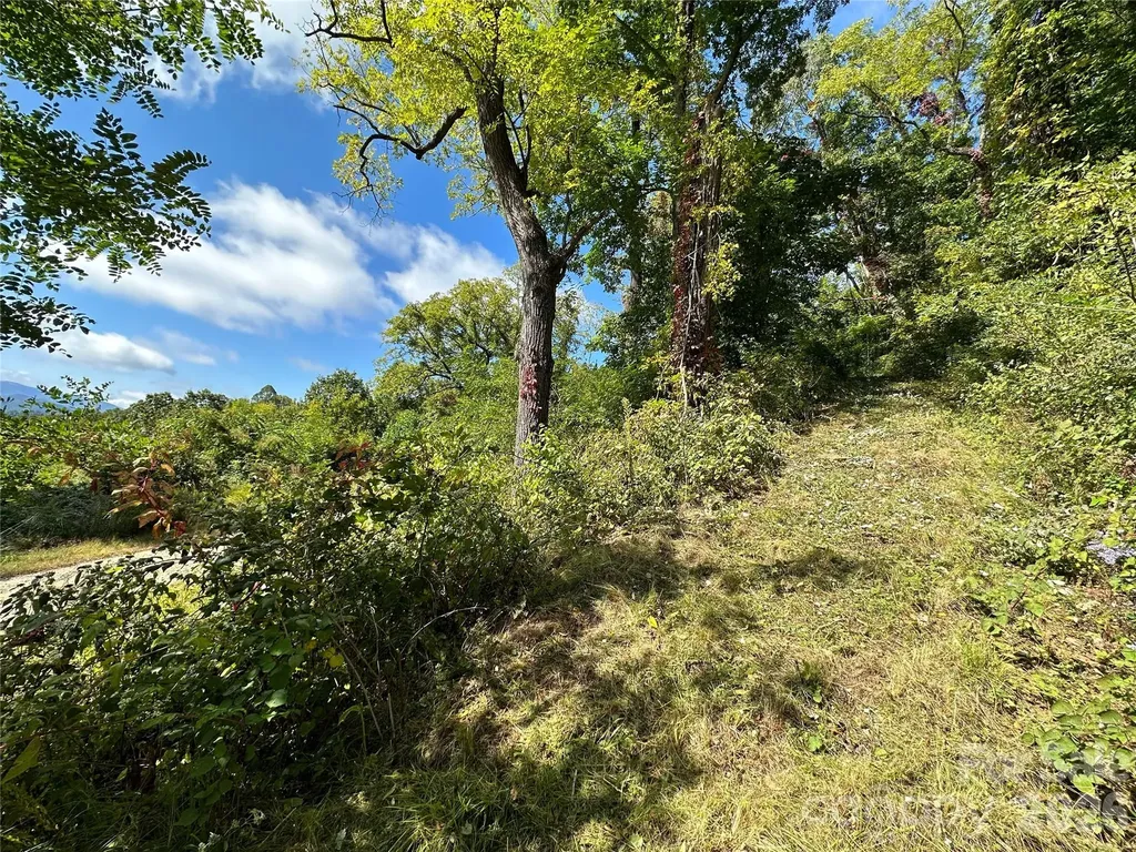 00 High Rock View Drive Canton NC 28716