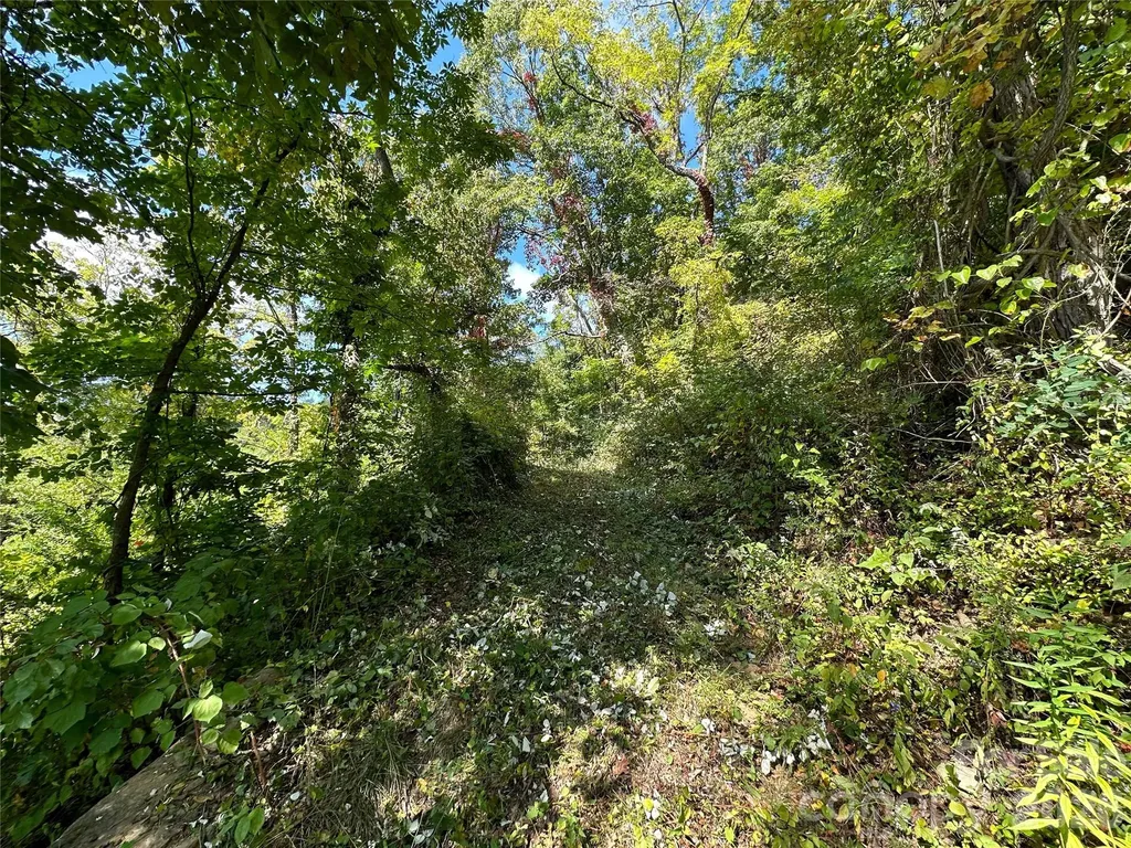 00 High Rock View Drive Canton NC 28716