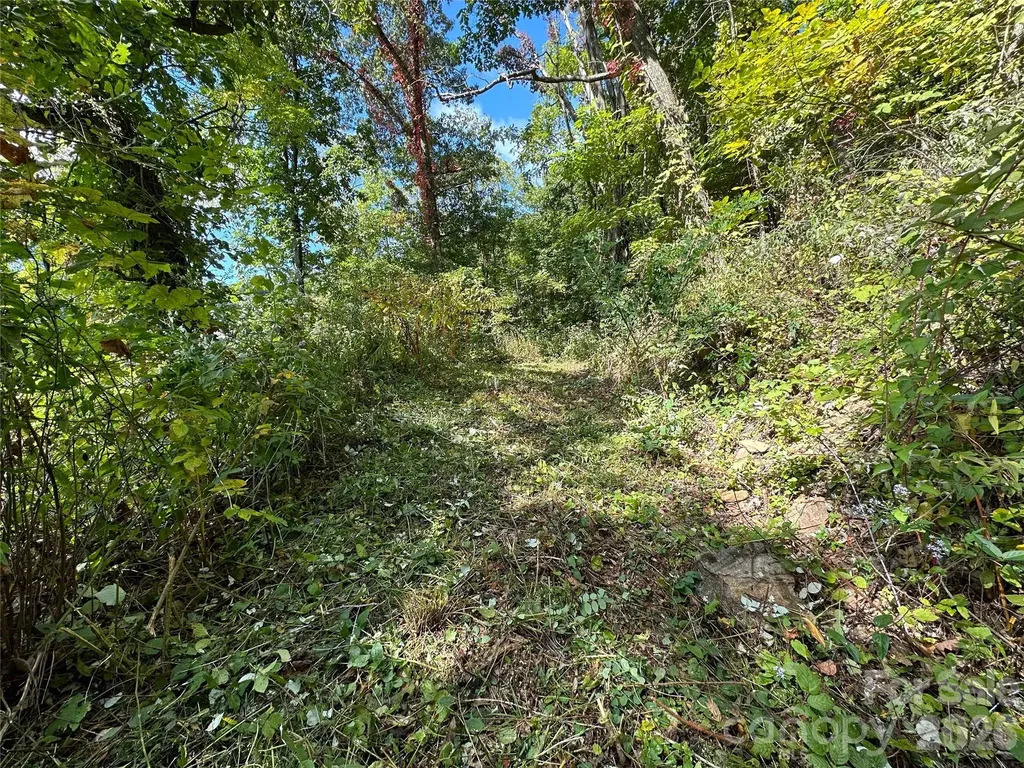 00 High Rock View Drive Canton NC 28716