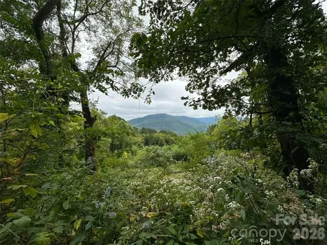 00 High Rock View Drive Canton NC 28716