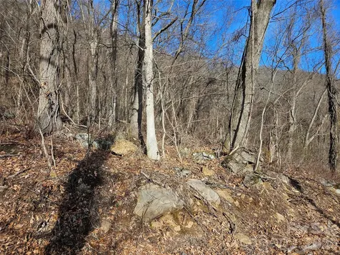 00 High Rock View Drive Canton NC 28716