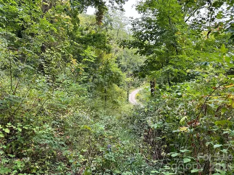 00 High Rock View Drive Canton NC 28716