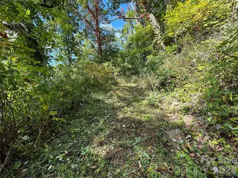 00 High Rock View Drive Canton NC 28716