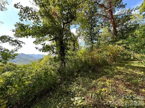 00 High Rock View Drive Canton NC 28716