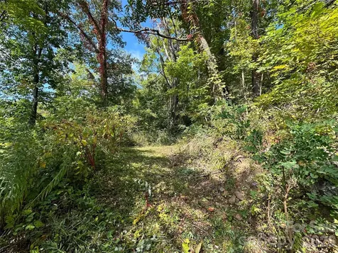 00 High Rock View Drive Canton NC 28716