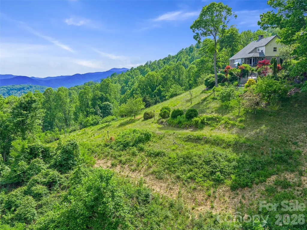 729 Bear Wallow Road Little Switzerland NC 28749