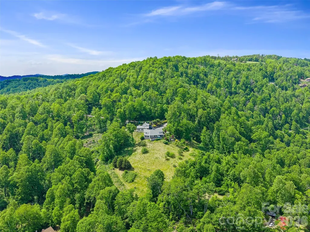 729 Bear Wallow Road Little Switzerland NC 28749