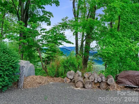 729 Bear Wallow Road Little Switzerland NC 28749