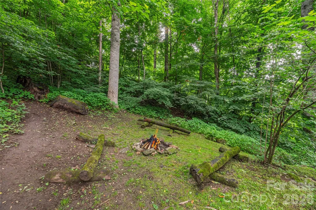 100 Bristol Lane Maggie Valley NC 28751