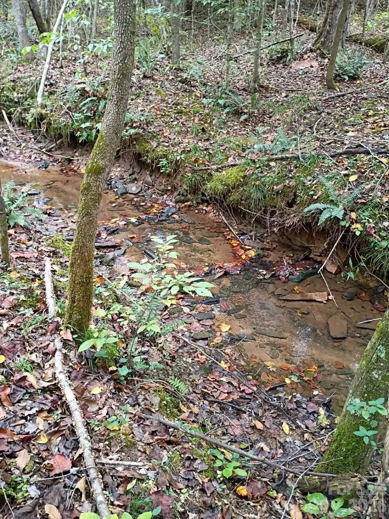 3024 Camp Creek Road Union Mills NC 28167