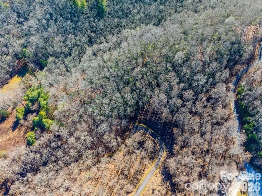19 & 20 Marcus Ridge Drive Fairview NC 28730