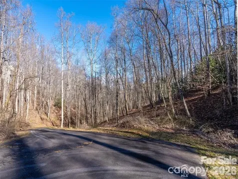 19 & 20 Marcus Ridge Drive Fairview NC 28730