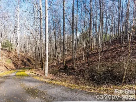 19 & 20 Marcus Ridge Drive Fairview NC 28730