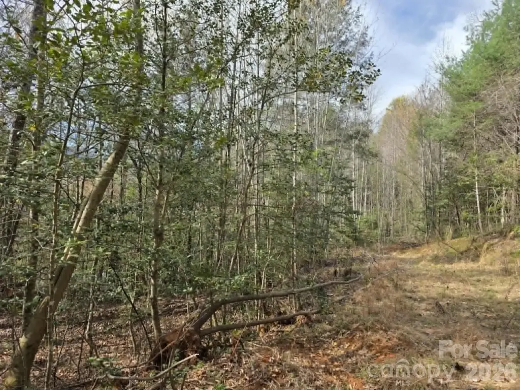 Lot 5 Kerlee Lane Old Fort NC 28762
