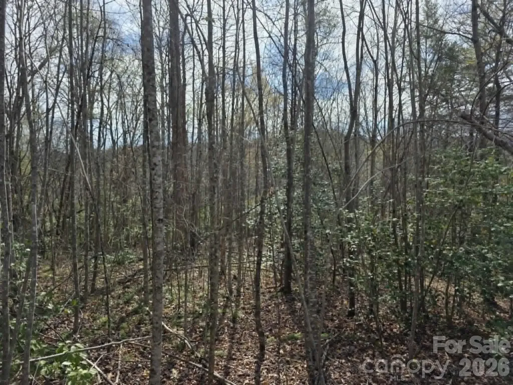 Lot 5 Kerlee Lane Old Fort NC 28762