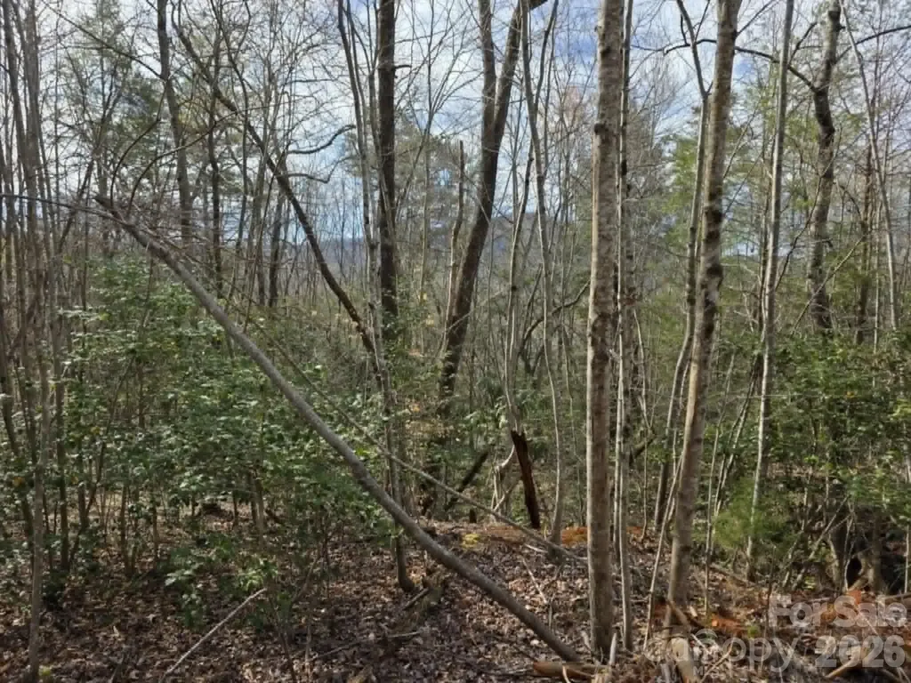 Lot 5 Kerlee Lane Old Fort NC 28762