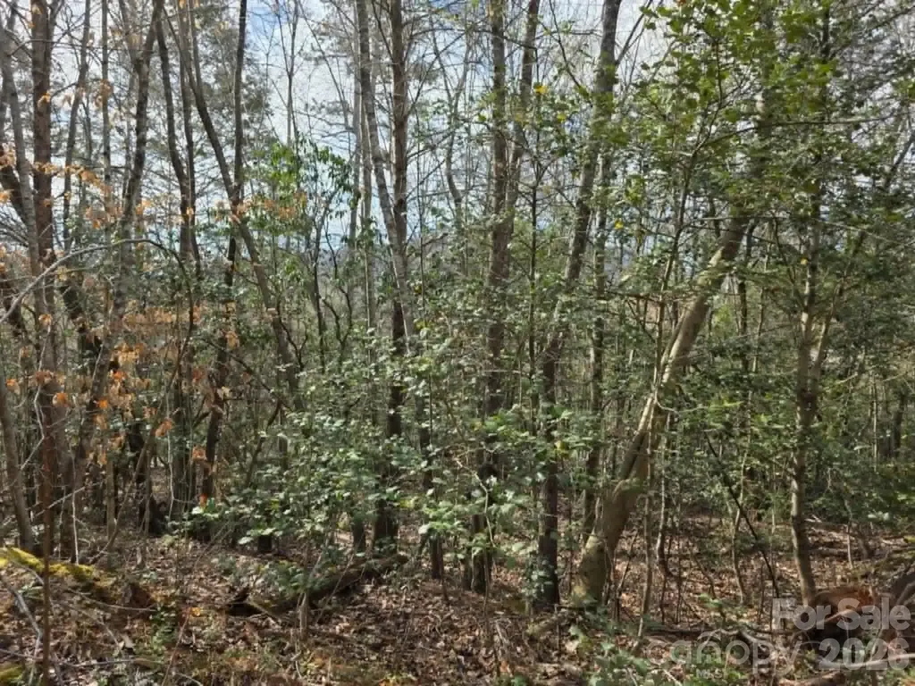 Lot 5 Kerlee Lane Old Fort NC 28762