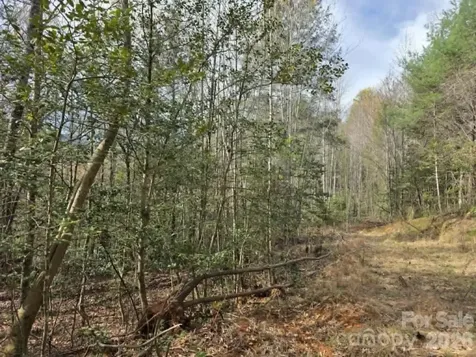 Lot 5 Kerlee Lane Old Fort NC 28762