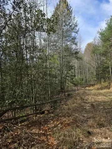 Lot 5 Kerlee Lane Old Fort NC 28762