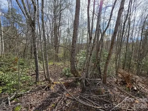 Lot 5 Kerlee Lane Old Fort NC 28762