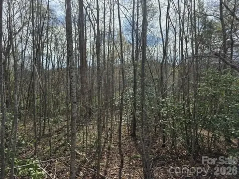 Lot 5 Kerlee Lane Old Fort NC 28762