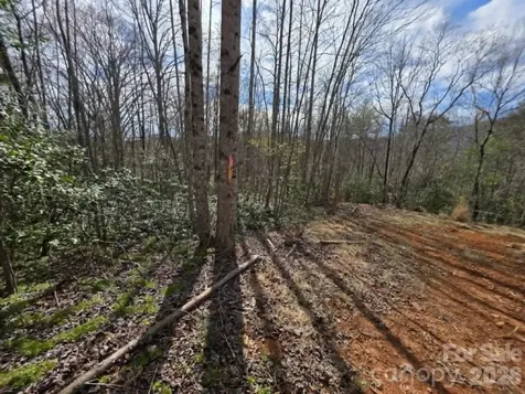Lot 5 Kerlee Lane Old Fort NC 28762