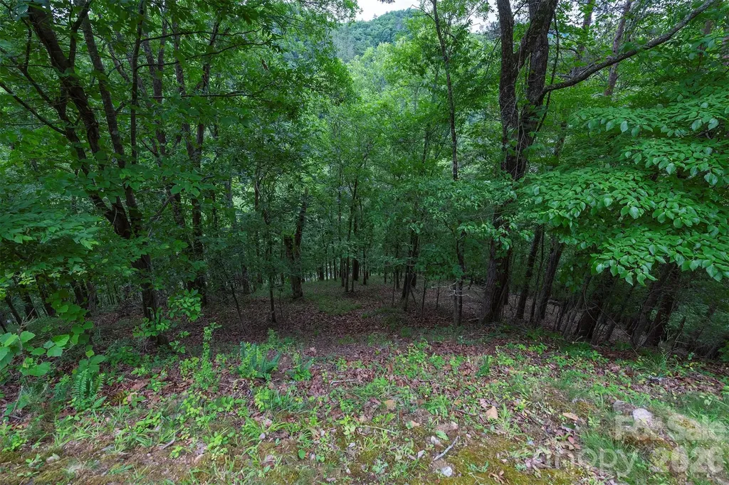 2391 French Broad Parkway Marshall NC 28753