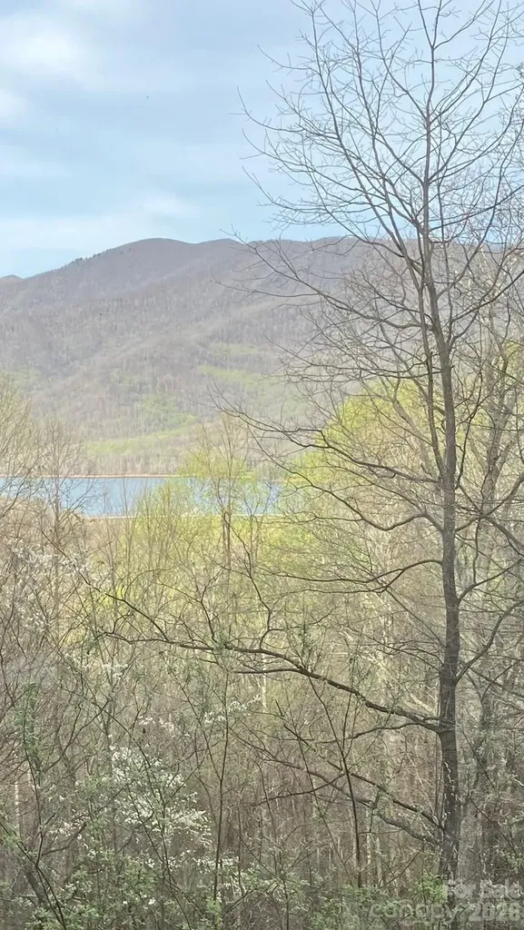 22 Great Aspen Way Black Mountain NC 28711