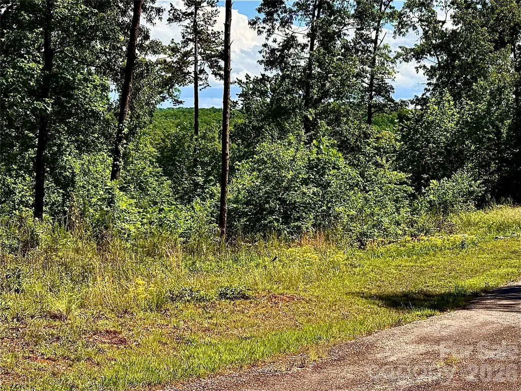 Lot 261 Rock Ledge Drive Lake Lure NC 28746