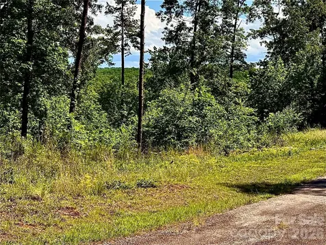 Lot 261 Rock Ledge Drive Lake Lure NC 28746