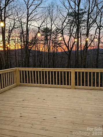151 Mourning Dove Drive Marion NC 28752