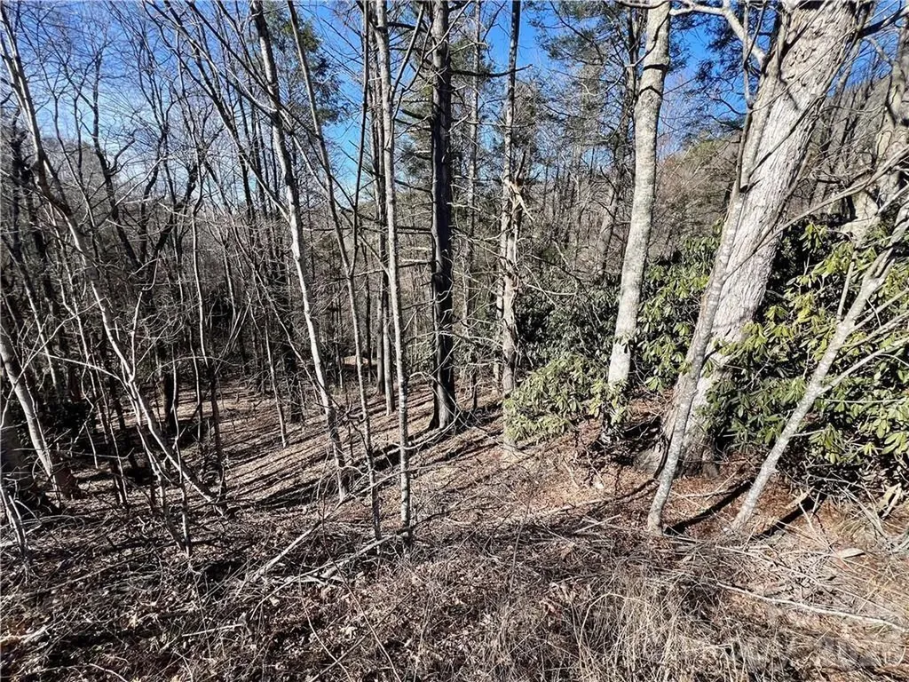 N/a 321 Highway N Sugar Grove NC 28679