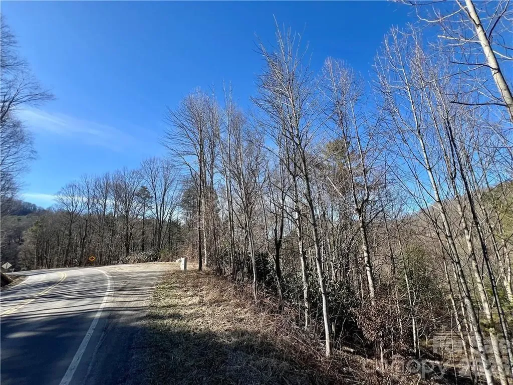 N/a 321 Highway N Sugar Grove NC 28679