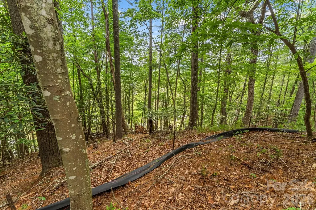 130 Settlement Ridge Drive Marion NC 28752