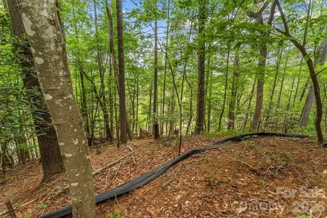 130 Settlement Ridge Drive Marion NC 28752