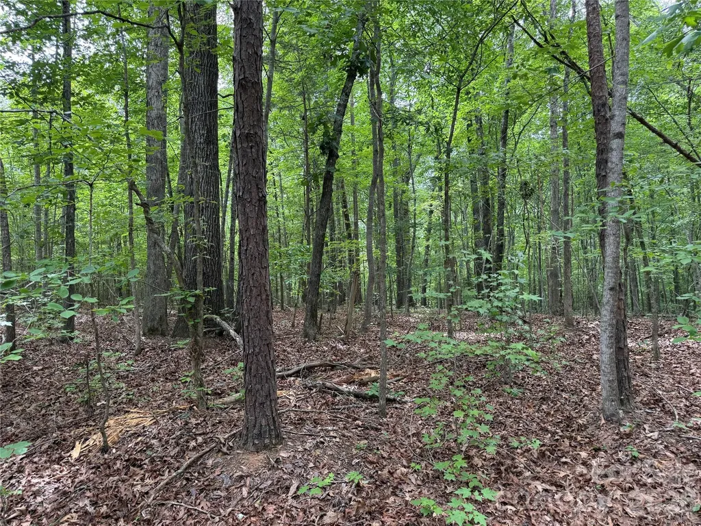 0 Herbert Faucette Road Bullock NC 27507