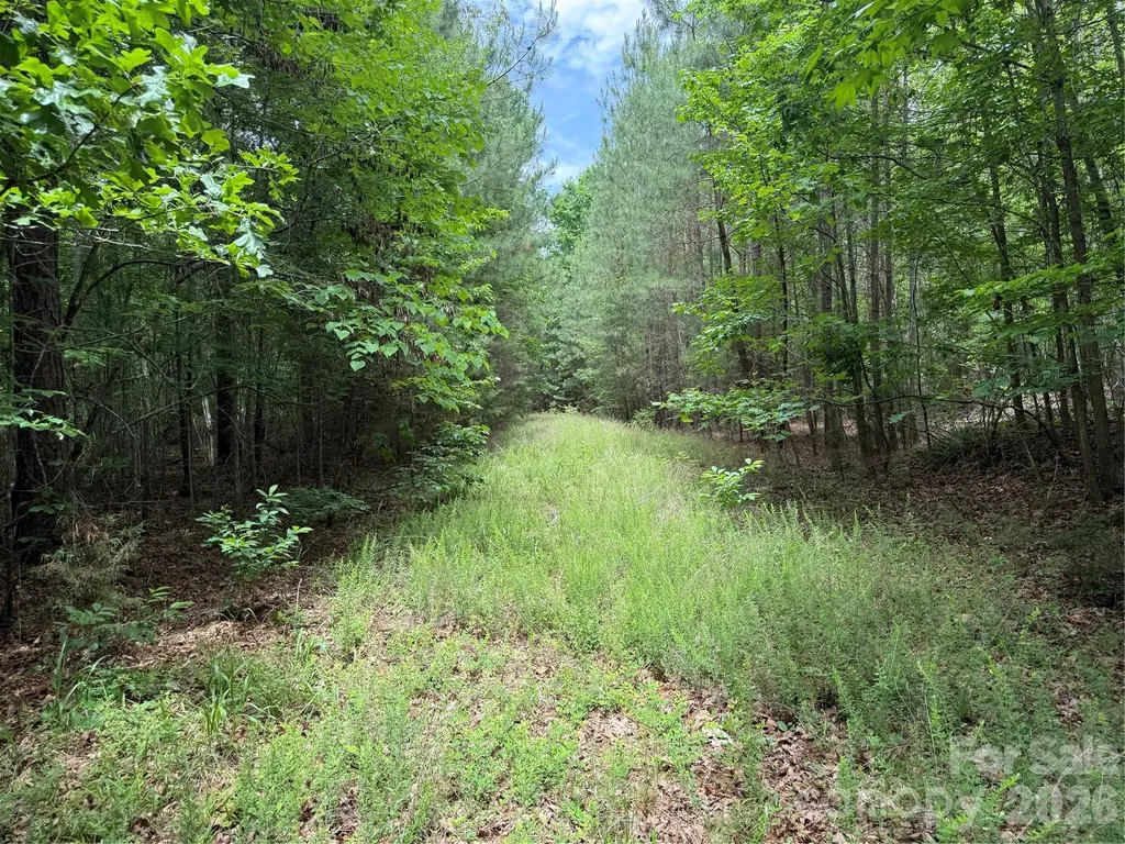 0 Herbert Faucette Road Bullock NC 27507
