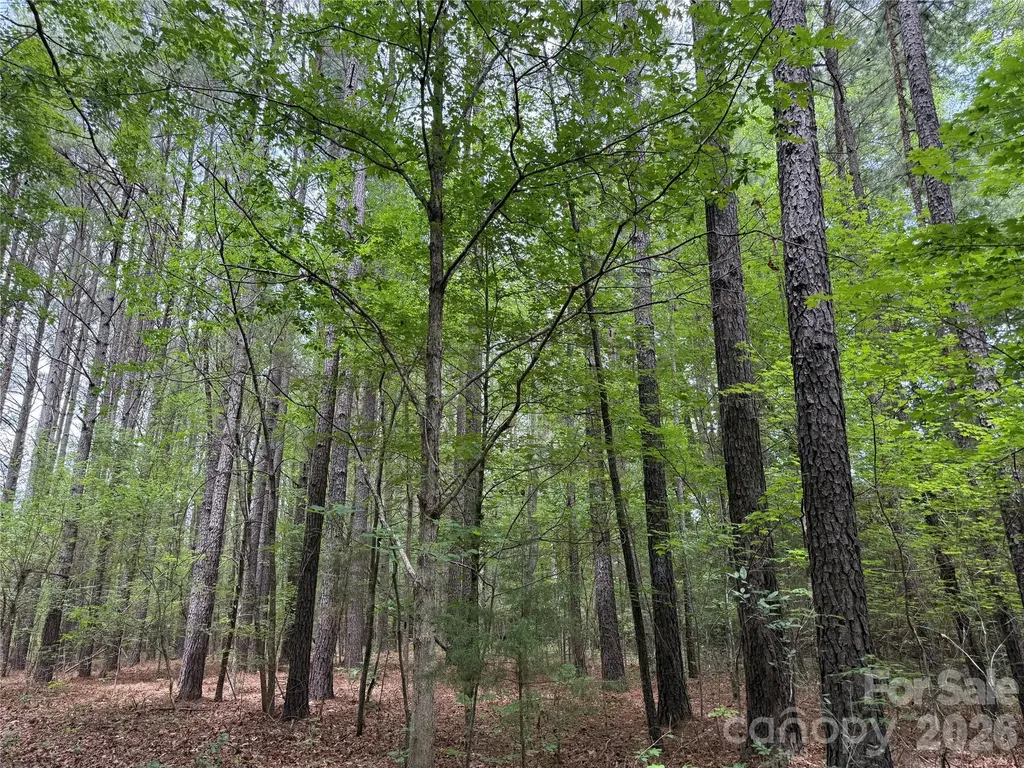 0 Herbert Faucette Road Bullock NC 27507