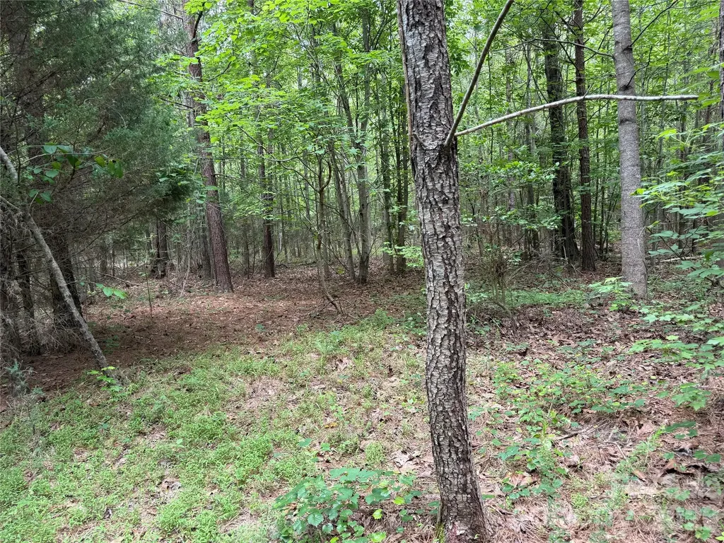 0 Herbert Faucette Road Bullock NC 27507