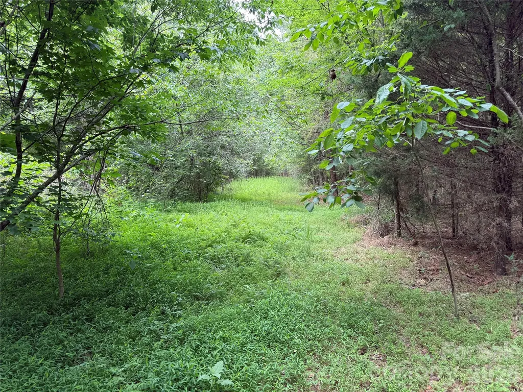 0 Herbert Faucette Road Bullock NC 27507