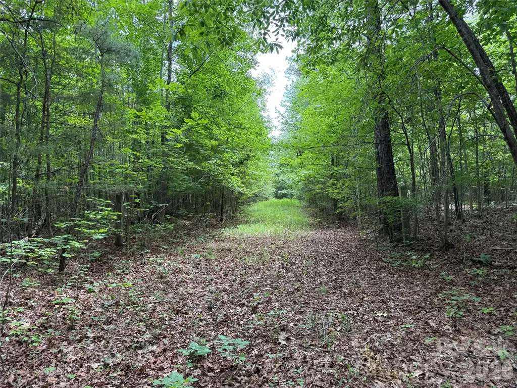 0 Herbert Faucette Road Bullock NC 27507