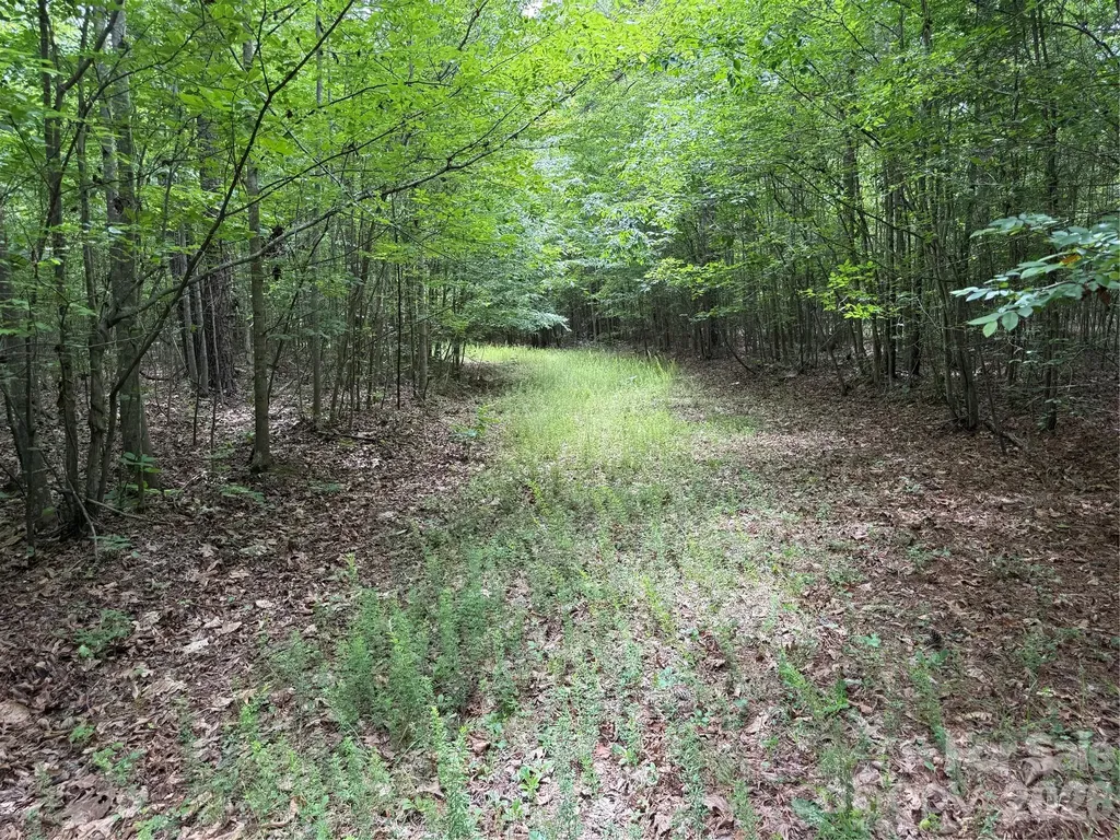 0 Herbert Faucette Road Bullock NC 27507