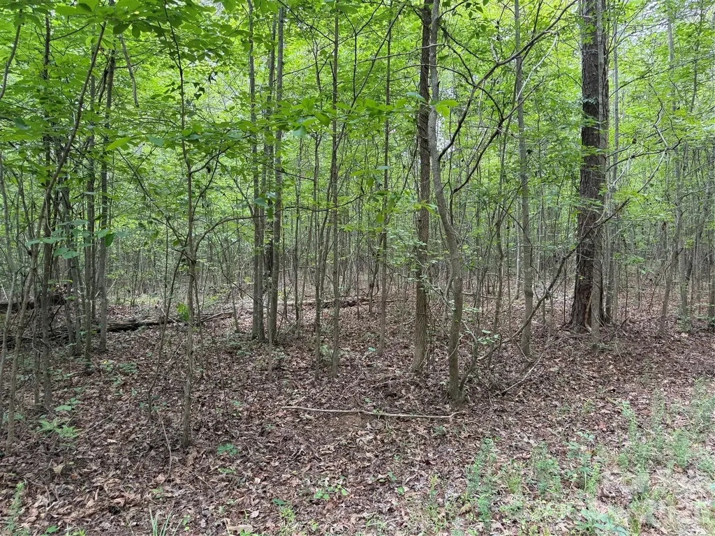 0 Herbert Faucette Road Bullock NC 27507