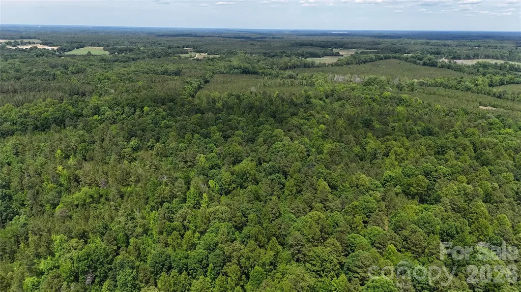 0 Herbert Faucette Road Bullock NC 27507