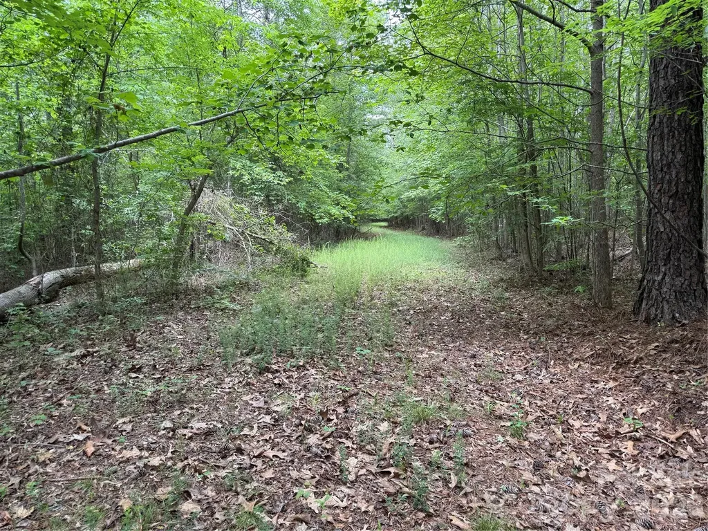 0 Herbert Faucette Road Bullock NC 27507