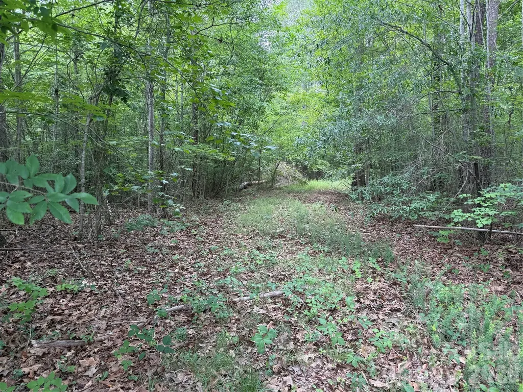 0 Herbert Faucette Road Bullock NC 27507
