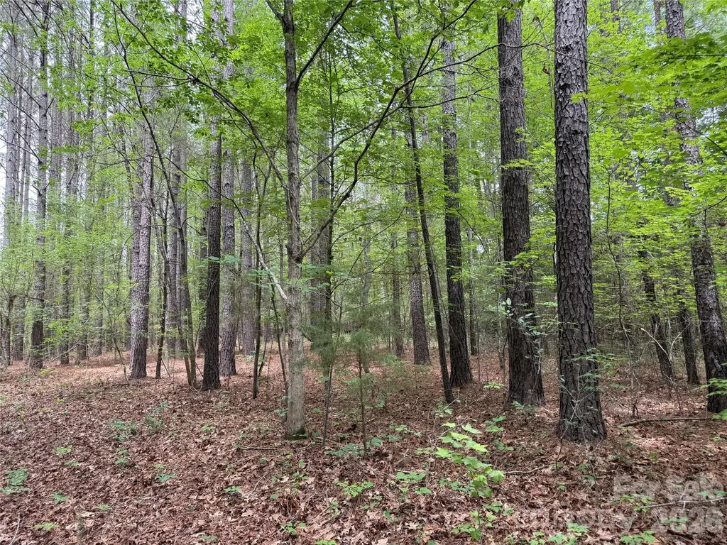 0 Herbert Faucette Road Bullock NC 27507