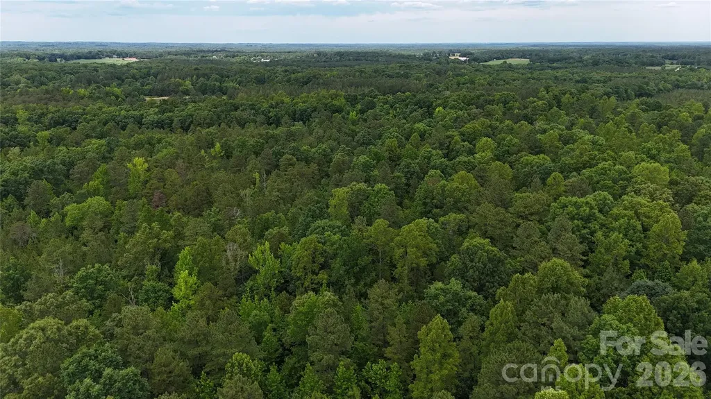 0 Herbert Faucette Road Bullock NC 27507