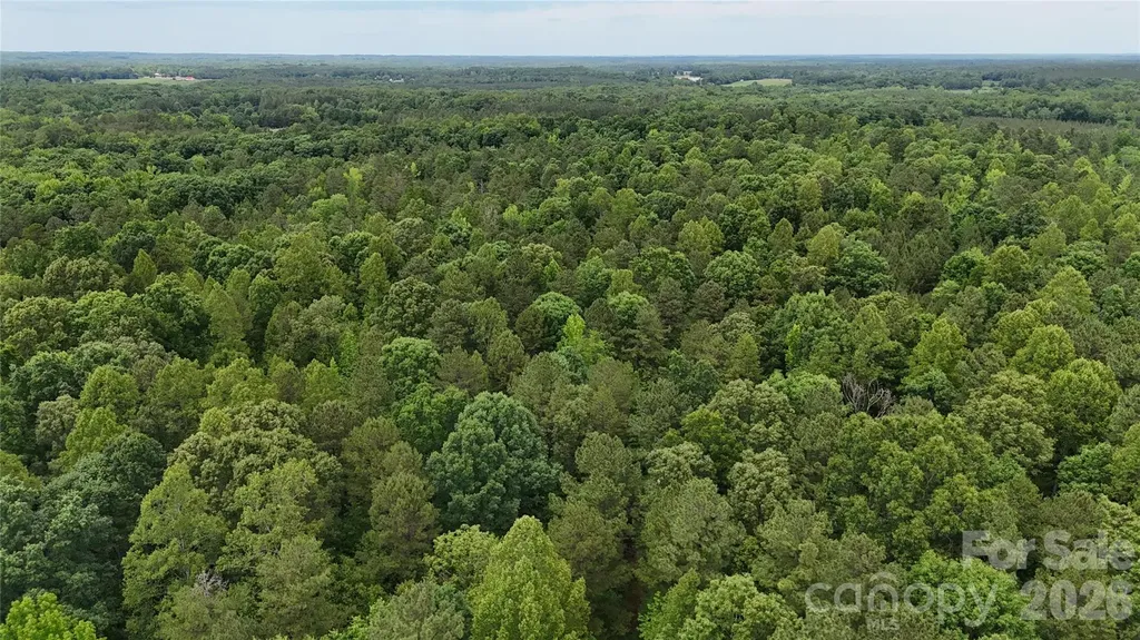 0 Herbert Faucette Road Bullock NC 27507