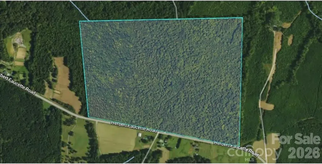 0 Herbert Faucette Road Bullock NC 27507